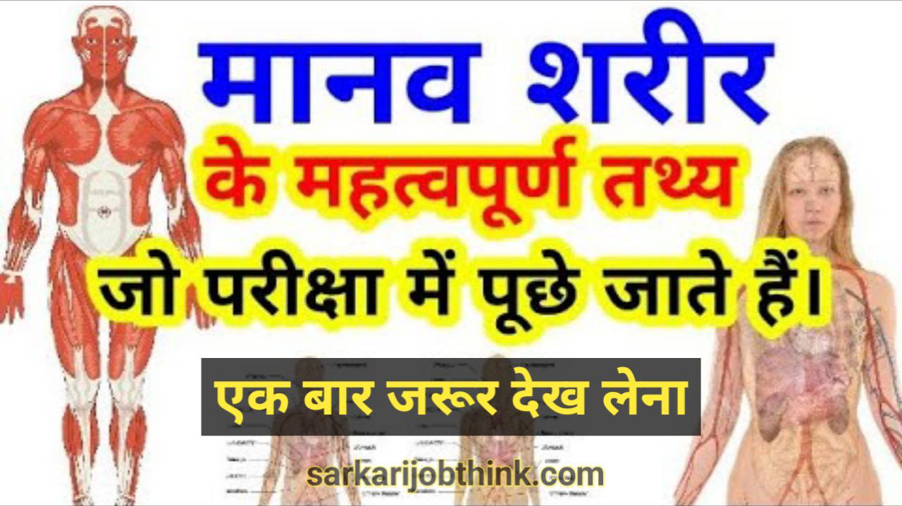 Facts About Human Body in Hindi: जानिए मानव शरीर से जुड़ी महत्पूर्ण रोचक जानकारी